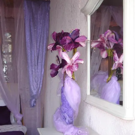 Archontiko Althaia *